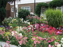 Croydon in bloom - beautiful fllower garden