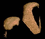 swddogion y llywodraeth - dosbarth canol