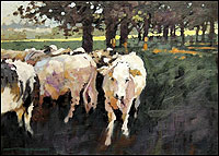 Bullocks by Tony Williams