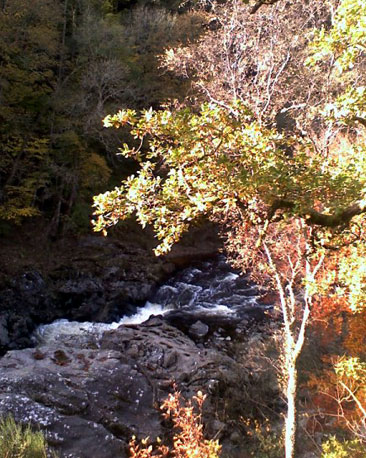 Alex Fleming from Falkirk had his camera at the ready when visiting The Soldier's Leap at Killicrankie.