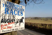 Arwydd rasus trotian Tregaron. 