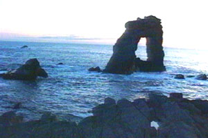 Isobel films the simmer dim