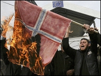 Danimarka bayrağı yakan göstericiler