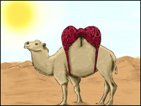 اوښ