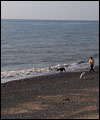 Rossall beach