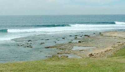 Sandon Point
