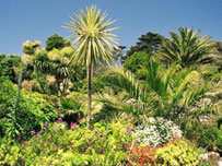 Abbey Gardens by David Fitzgerald