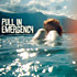 Review of Pull in Emergency Review of Pull in Emergency