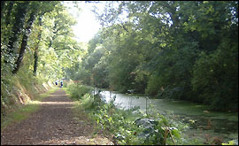 Walking along the Grand Western Canal
