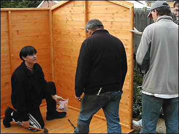 The shed goes up