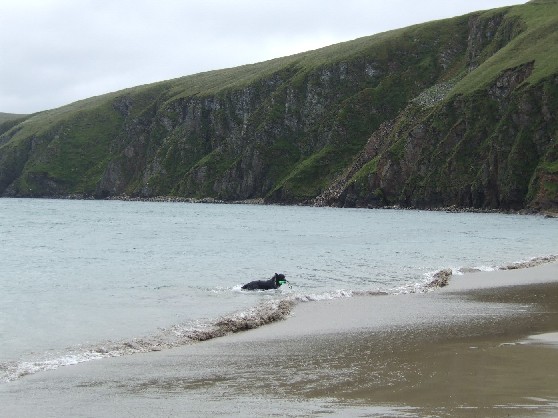 Swimming off the chips.
