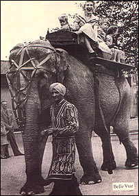 An elephant ride at Belle Vue