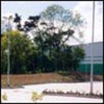 How the crash site looks today.