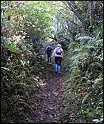 Midge Bailey and Alison Carr walking up a green lane