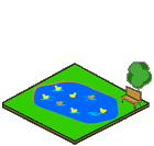 Pond