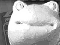 Head of book worm in front of clapperboard