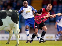 Cows on the pitch.