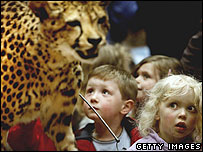 儿童参观博物馆