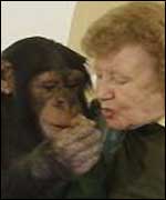 Molly and Danny the chimp