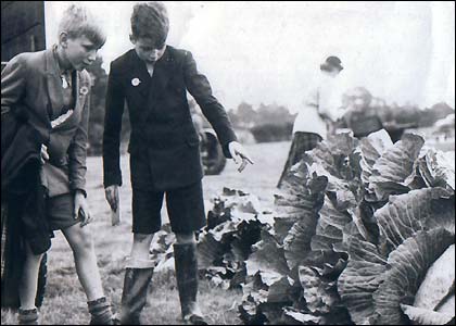 Boys looking at giant veg!