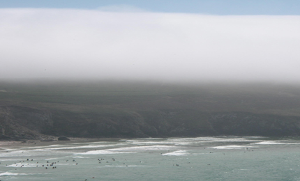 The sea mist rolls in on the Baie des Trepasses, Brittany, August 2006 . Pic: David Gibson