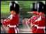 Coldstream Guards