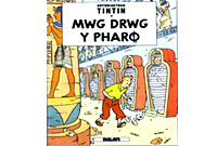 Clawr llyfr Tintin