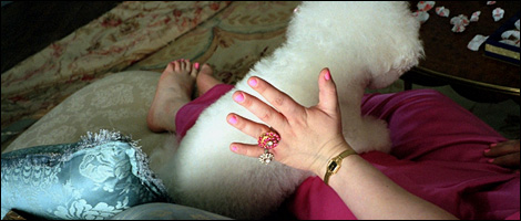 Mills & Boon - Nicola Cornick