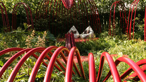 The British Heart Foundation garden - Chelsea 2011