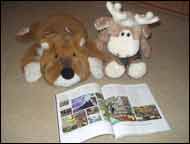 Tigger and Clive reading