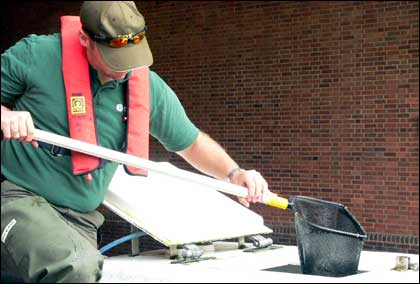 Re-stocking of the River Salwarpe