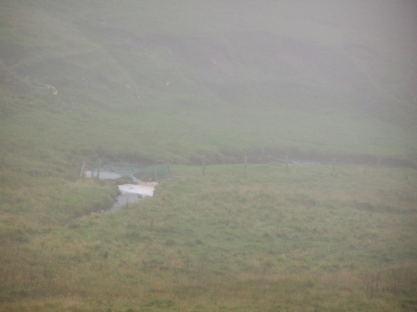 MIst creeping up the burn