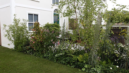 The Overdrawn Artist's Garden