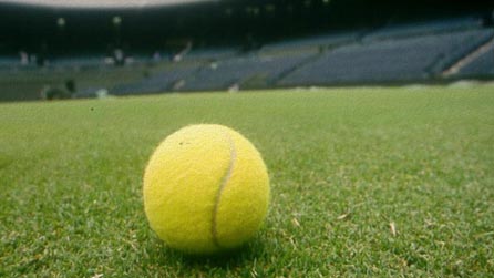 Tennis ball