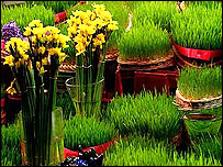 سبزه و نوروز