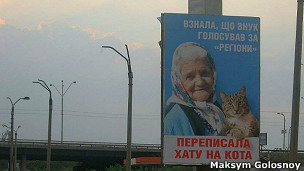 билборд с бабушкой и котом