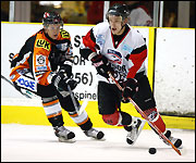 Basingstoke Bison v Sheffield