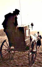 Horse and cab containing chartist petition