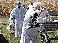 Masa kundër gripit të shpendëve