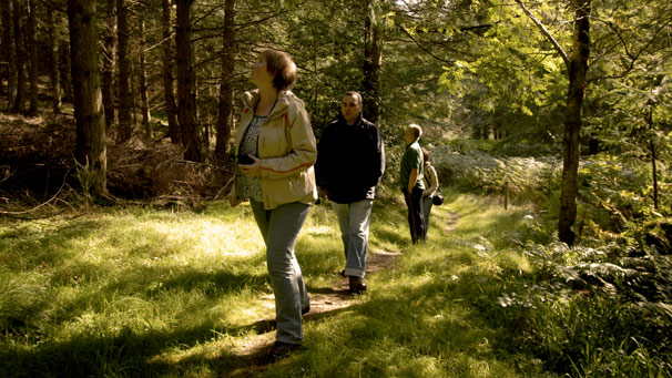 People walking up a narrow path in forest.