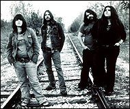 The Magic Numbers