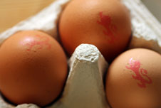 Eggshell