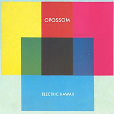 Review of Electric Hawaii