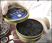 خاويار يکی از گرانترين مواد غذايی دنياست