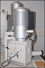 Scanning electron microscope