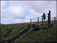 Sheila takes in the views