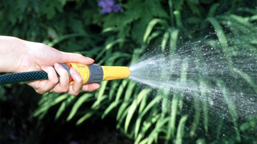 Close-up of a hand holding a hosepipe
