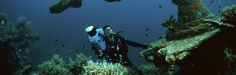 A diver investigates a shipwreck