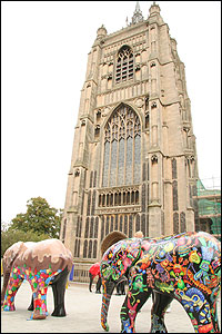 Go Elephants final display