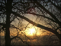 Sunrise at Darley Park